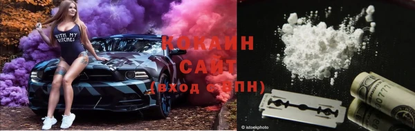 гашик Вязники